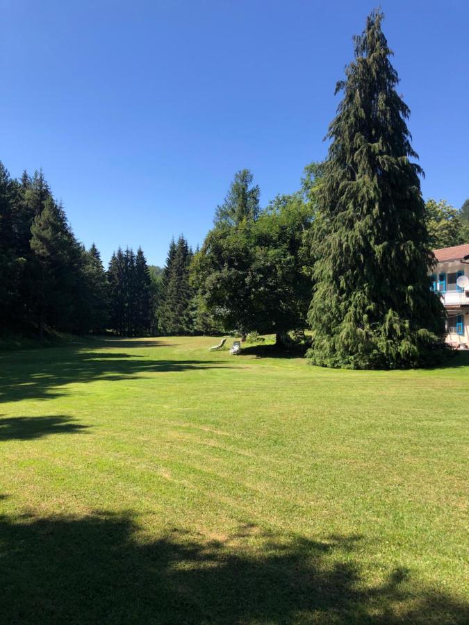 Agriturismo La Casa Nel Bosco Boveglio エクステリア 写真