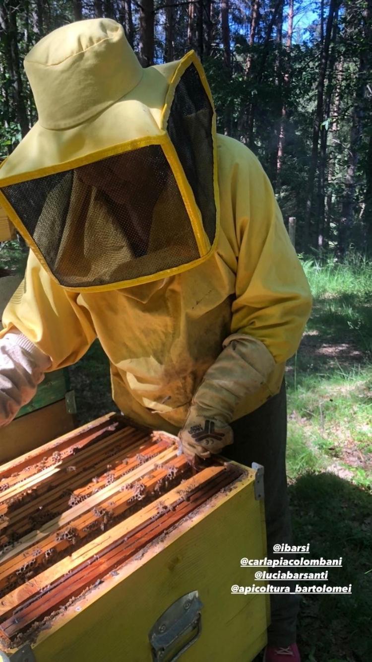 Agriturismo La Casa Nel Bosco Boveglio エクステリア 写真