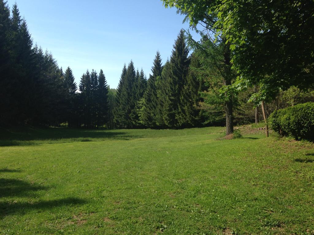 Agriturismo La Casa Nel Bosco Boveglio エクステリア 写真