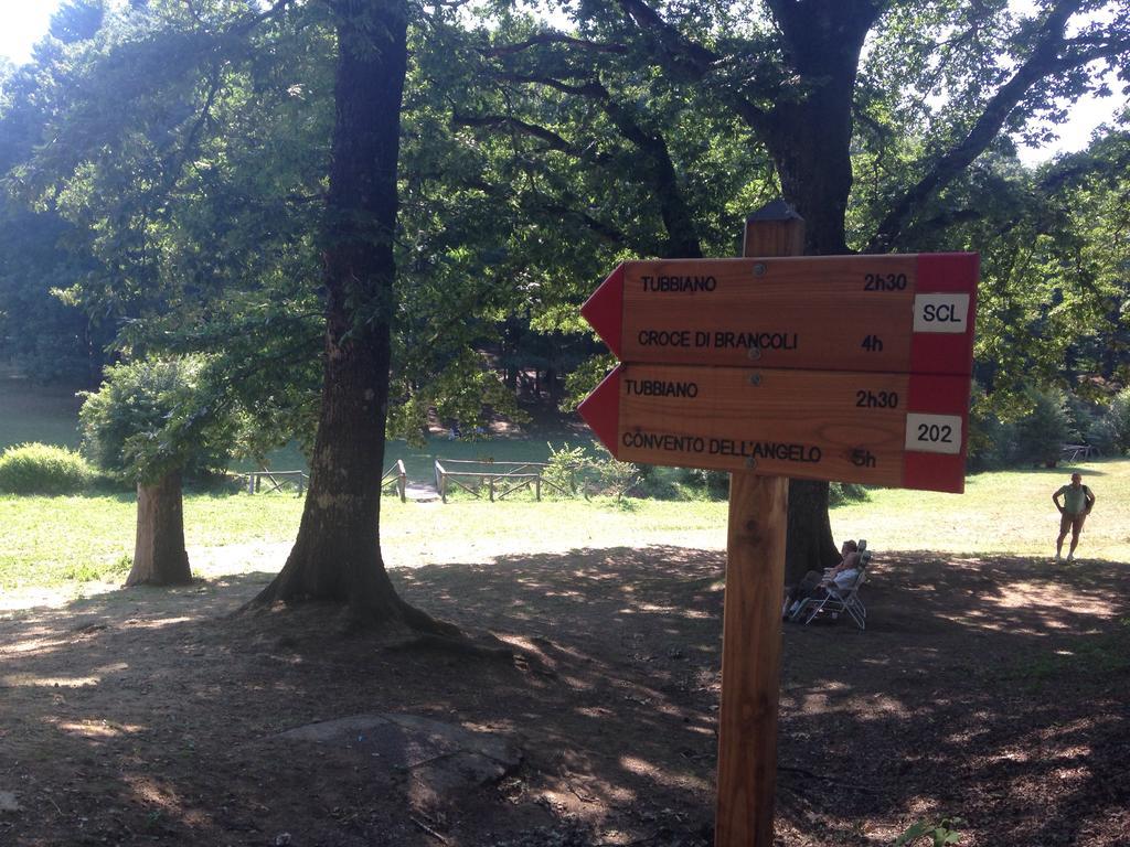 Agriturismo La Casa Nel Bosco Boveglio エクステリア 写真