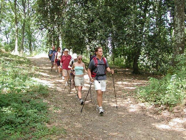 Agriturismo La Casa Nel Bosco Boveglio エクステリア 写真