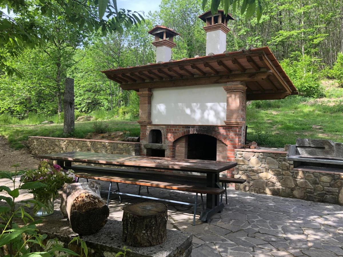 Agriturismo La Casa Nel Bosco Boveglio エクステリア 写真