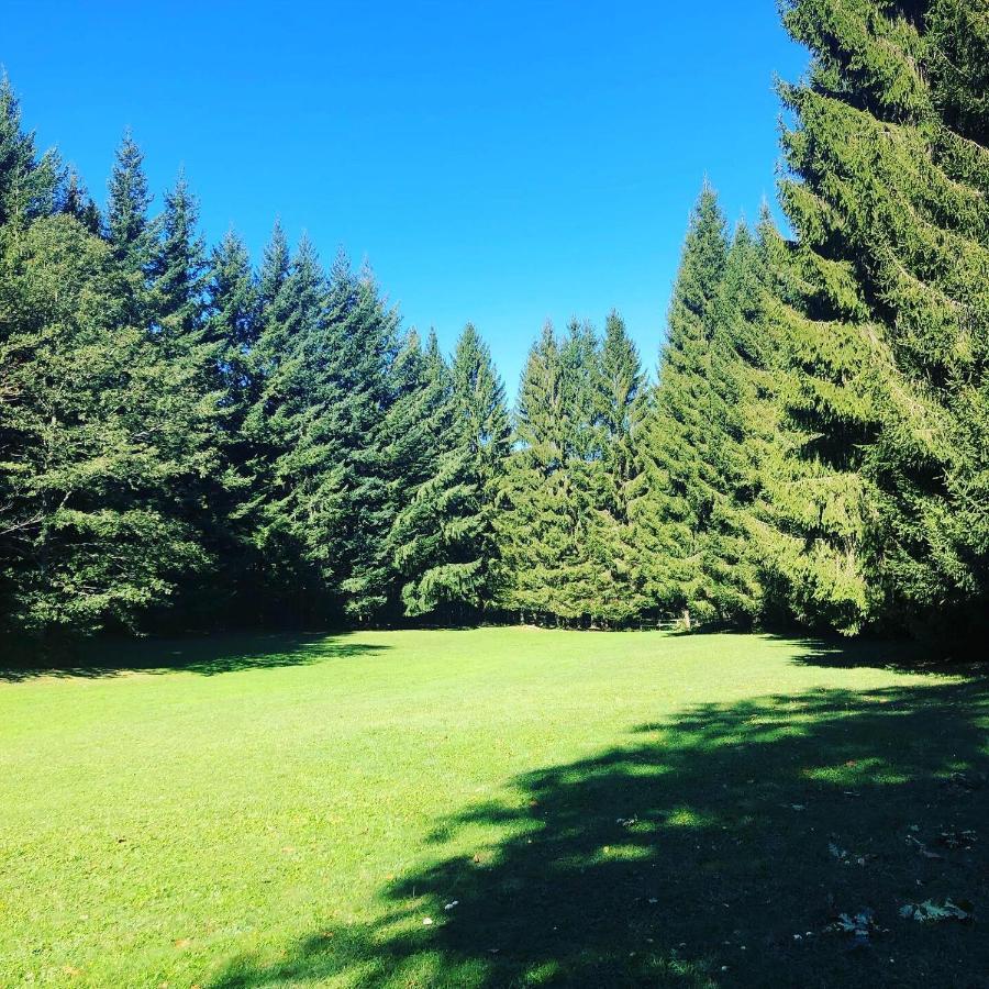 Agriturismo La Casa Nel Bosco Boveglio エクステリア 写真