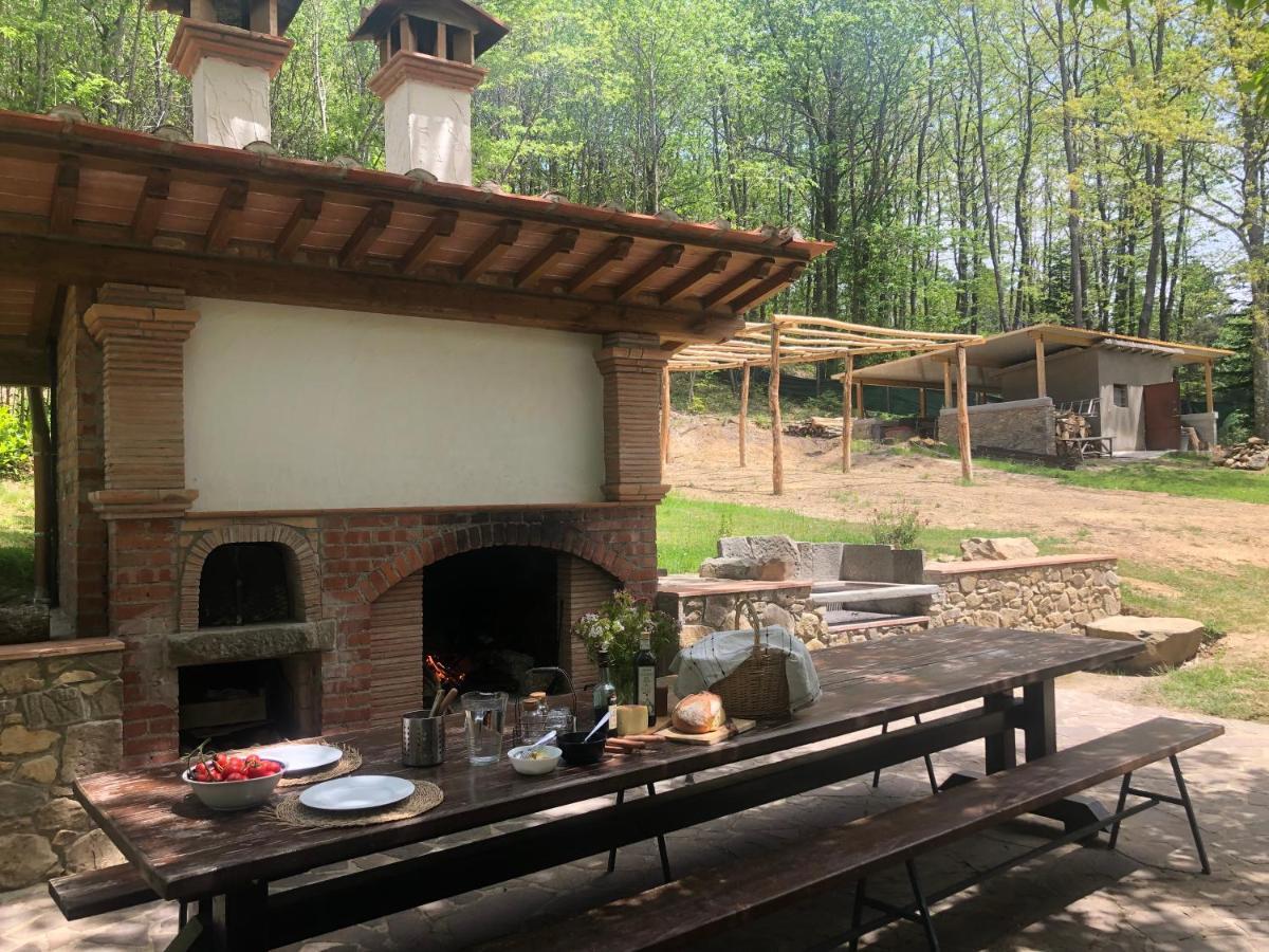 Agriturismo La Casa Nel Bosco Boveglio エクステリア 写真